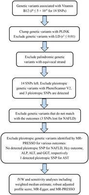 Bi-directional causal effect between vitamin B12 and non-alcoholic fatty liver disease: Inferring from large population data